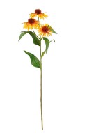 Echinacea oranje L62cm